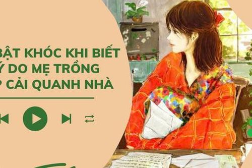 Audio: Tôi bật khóc khi biết lý do mẹ trồng bắp cải quanh nhà