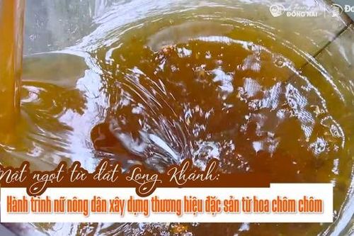 Mật ngọt từ đất Long Khánh: Hành trình nữ nông dân xây dựng thương hiệu đặc sản từ hoa chôm chôm