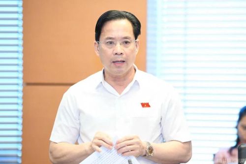 Đại biểu Quốc hội tỉnh góp ý vào dự án Luật Tổ chức chính quyền địa phương (sửa đổi) và dự án Luật Cán bộ, công chức (sửa đổi)