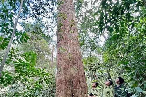 Phê duyệt Đề án Du lịch sinh thái, nghỉ dưỡng, giải trí Khu Bảo tồn thiên nhiên Hoàng Liên - Văn Bàn