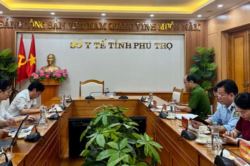 Tăng cường kiểm tra việc chấp hành các quy định pháp luật về dược, an toàn thực phẩm