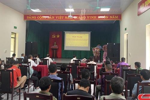 Tổng kết mô hình chăn nuôi lợn sinh sản áp dụng các biện pháp an toàn sinh học
