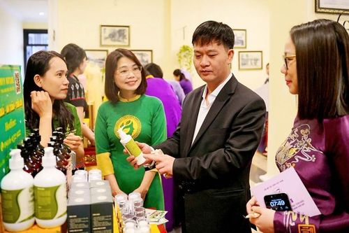 Dìu dắt startup lớn mạnh