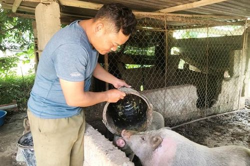 Trưởng thôn Pa Cô 'hai giỏi'