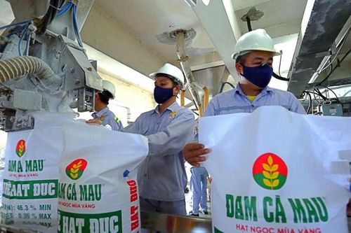 Xuất khẩu tăng tốc, Đạm Cà Mau (DCM) báo lãi ròng cao nhất 3 năm