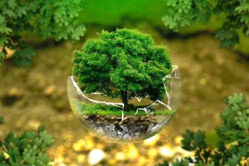 Đến hẹn lại lên vào mùa hè: Điều hòa bật mạnh, môi trường có ...'ngộp thở'?