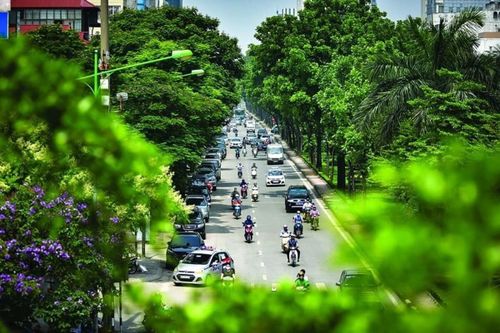 Trồng thêm cây xanh, thành phố thêm nhịp thở