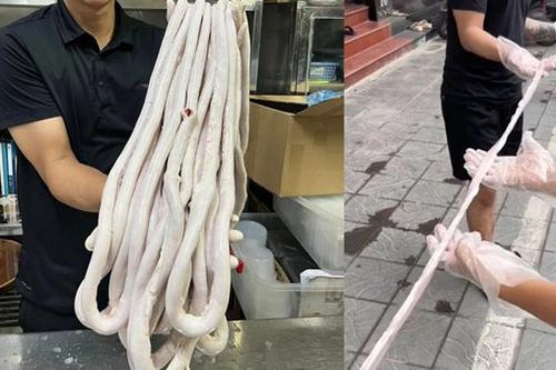 TP Hồ Chí Minh kiểm tra đồng loạt các cơ sở kinh doanh lòng xe điếu