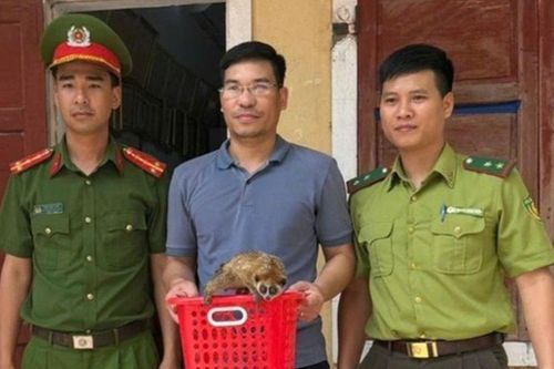 Cận cảnh con vật 'lạ' có nọc độc ở khuỷu tay xuất hiện ở Quảng Bình