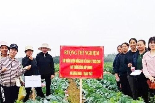 Chính sách bảo vệ môi trường trong nông nghiệp:Hướng tới mô hình xanh, an toàn, bền vững