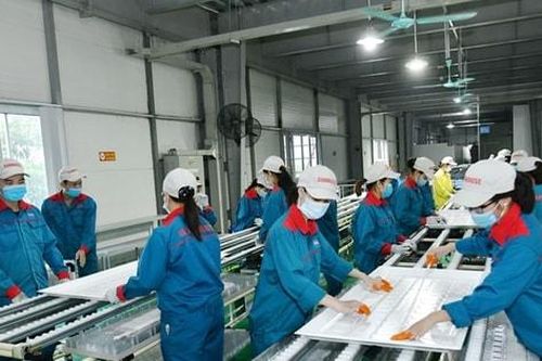 Đưa kinh tế tư nhân thành động lực quan trọng nhất của nền kinh tế