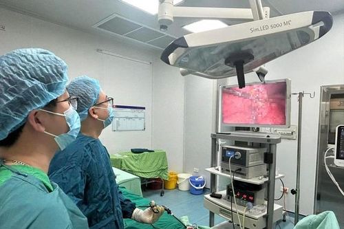 Hy hữu: Người đàn ông bị viên đá bắn thủng bụng khi đang cắt cỏ