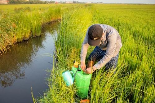 Cấp thiết nâng cao nhận thức, giảm thiểu rủi ro từ thuốc bảo vệ thực vật