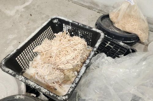 Bên trong kho bẩn chứa 41 tấn lòng heo bốc mùi ở Thái Lan