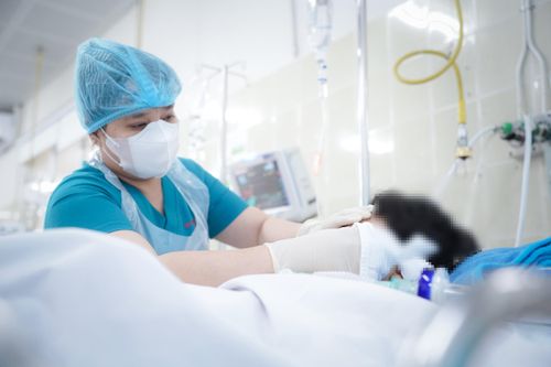 Bị nhánh cây rơi trúng đầu, bé trai ở TP.HCM nguy kịch