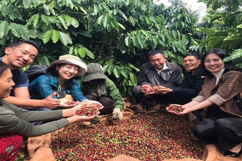 Nhiều quy định mới khi xuất khẩu nông sản sang thị trường ASEAN