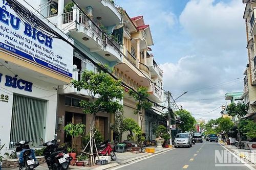Bộ Công an đề nghị Bạc Liêu cung cấp hồ sơ các dự án cây xanh