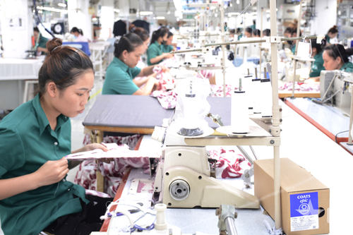 Nửa thế kỷ tự hào trên mặt trận kinh tế