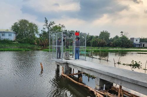 ĐBSCL: Nhiều nơi độ mặn tăng đến 9,5‰, nông dân cẩn trọng lấy nước tưới cây trồng