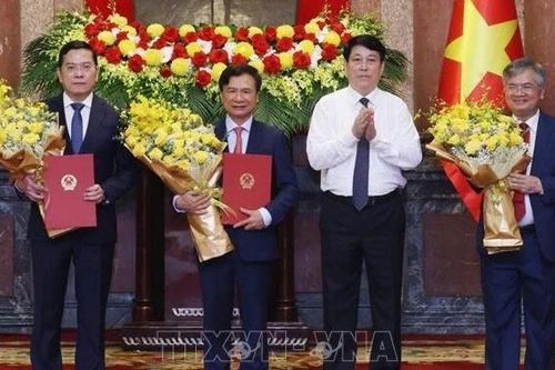 Chủ tịch nước trao quyết định bổ nhiệm 3 Phó Chủ nhiệm Văn phòng Chủ tịch nước