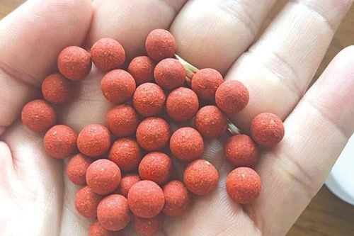 Ngộ độc Metformin, cụ ông 70 tuổi suýt tử vong