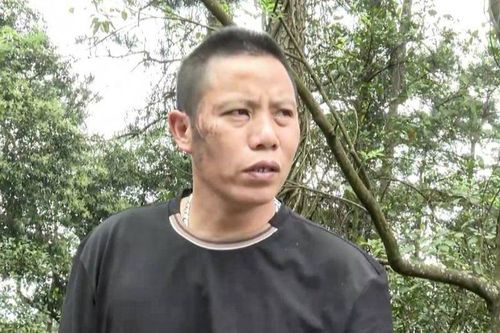 Khởi tố tài xế trong vụ lật xe khách trên đèo Tam Đảo làm 4 người tử vong