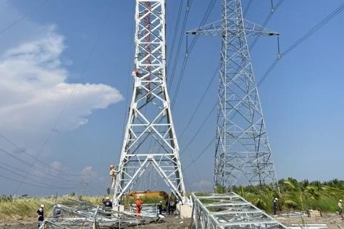 Tập trung nguồn lực đẩy nhanh tiến độ cụm dự án truyền tải giải tỏa công suất NMĐ Nhơn Trạch 3, 4
