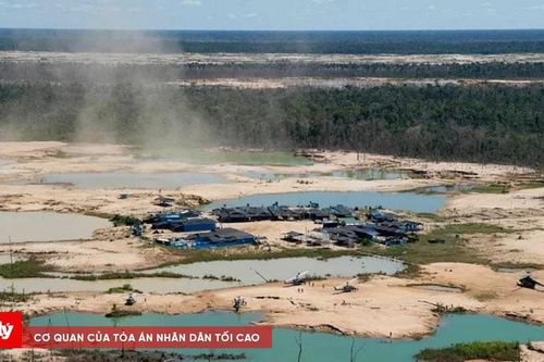 Những vảy vàng đổi bằng sinh mạng
