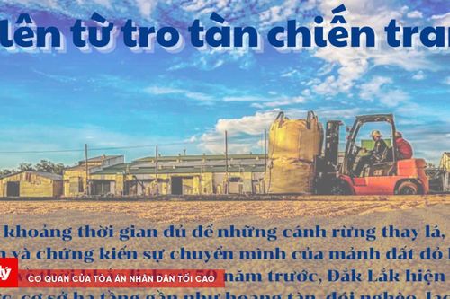 Bài 3: Đi lên từ tro tàn chiến tranh