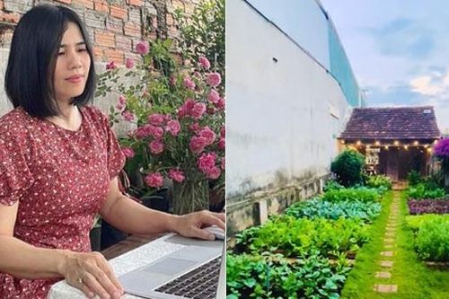 Vợ chồng bỏ việc lương cao về phố núi, biến nhà gỗ 50 năm thành chốn đẹp như mơ