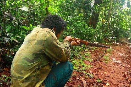 Phát hiện 2 đối tượng dùng súng săn giết hại 5 cá thể khỉ ở khu Bảo tồn