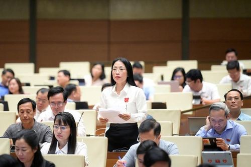 Đại biểu Quốc hội: Tình trạng mua bán chất xyanua diễn ra tràn lan trên thị trường