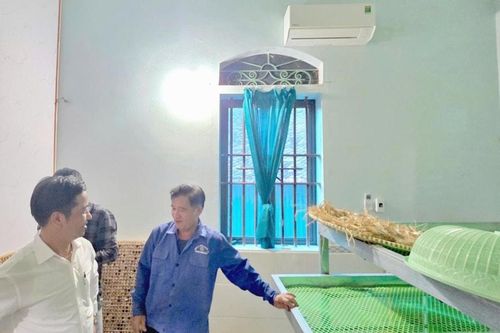 Nông dân Nghệ An nuôi tằm trong phòng điều hòa