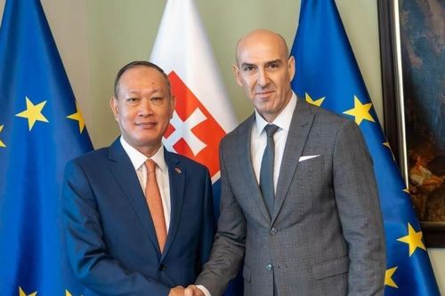 Việt Nam và Slovakia thúc đẩy hợp tác đấu tranh chống tội phạm