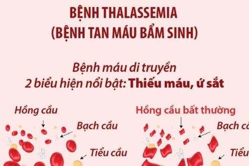 Cùng nhau vì Thalassemia: Đoàn kết cộng đồng, ưu tiên bệnh nhân
