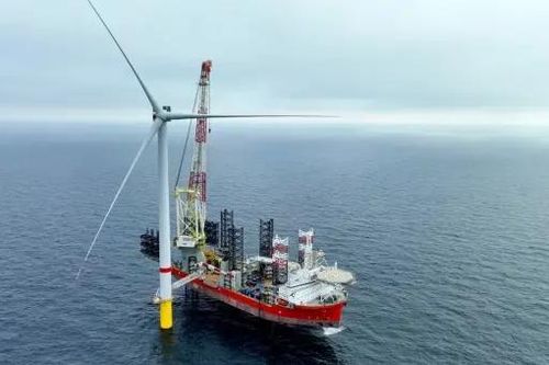 Trang trại điện gió ngoài khơi 960MW đạt cột mốc quan trọng