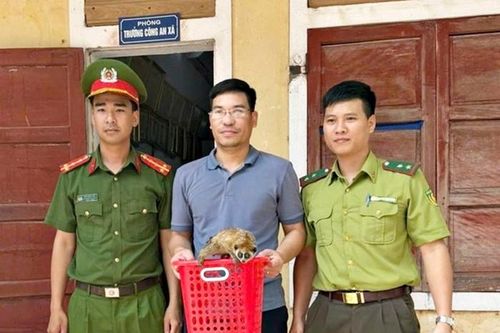 Xuất hiện loài vật có hình dáng 'lạ' ở Quảng Bình