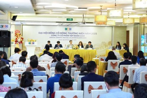 Chủ tịch CEO Group: 'Đã xuất hiện các điều kiện thuận lợi chưa từng có'