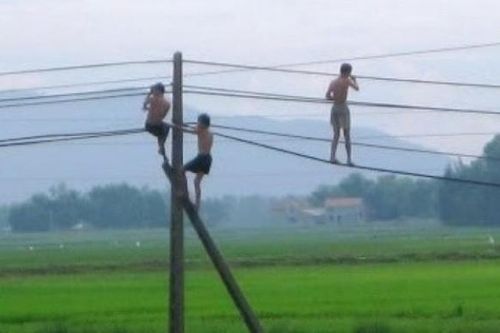 Cảnh báo tai nạn nghiêm trọng từ việc trèo lên cột điện cao thế bắt tổ chim