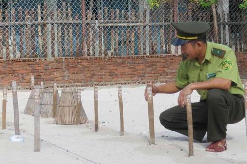 Chuyện về những người gác rừng, giữ biển ở Côn Đảo