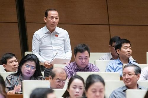 Đại biểu Võ Mạnh Sơn: Sửa Luật Hóa chất tạo công cụ mạnh mẽ hỗ trợ doanh nghiệp phát triển