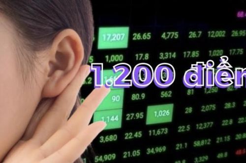 SGI Capital: Mốc 'ám ảnh' 1200 điểm trở thành ngưỡng hỗ trợ cực mạnh, đây là lúc chúng ta lạc quan