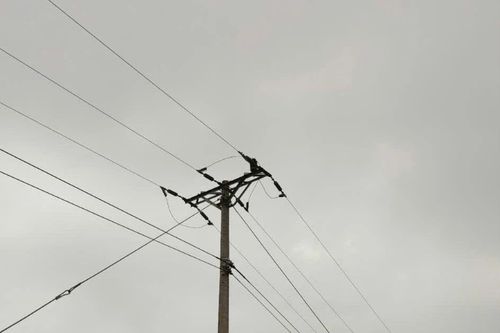 Điện lực Văn Bàn thông tin về vụ tai nạn điện trên địa bàn