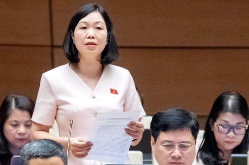 Đại biểu Nguyễn Thị Lan Anh tham gia thảo luận về dự thảo Luật Hóa chất (sửa đổi)