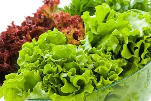 4 trường hợp không nên dùng rau xà lách