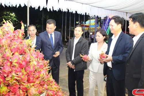 Xây dựng thương hiệu 'Thanh long Sơn La'
