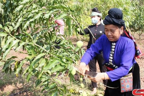 Tự hào nơi Bác Hồ về thăm