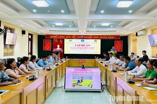 40 học viên được tập huấn nâng cao năng lực HTX nông nghiệp theo chuẩn và pháp luật