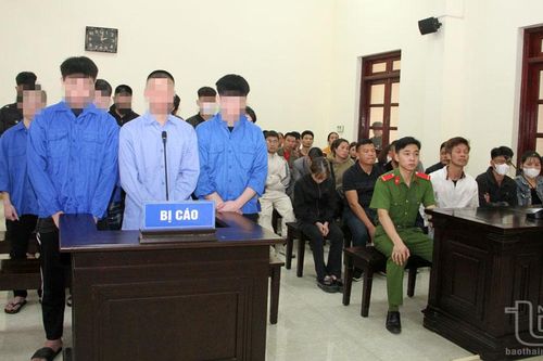 Thanh, thiếu niên phạm tội: Hồi chuông cảnh tỉnh từ những phiên tòa