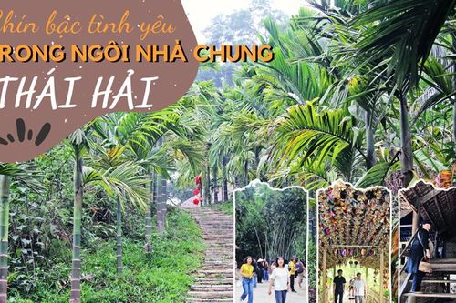 Chín bậc tình yêu trong ngôi nhà chung Thái Hải